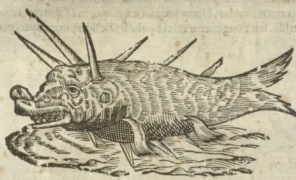 Illustration from page 81