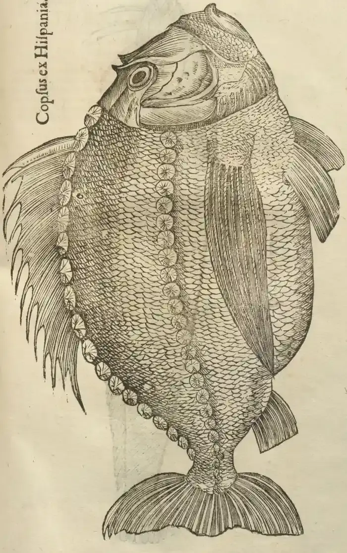 Illustration from page 83