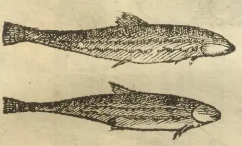 Illustration from page 87