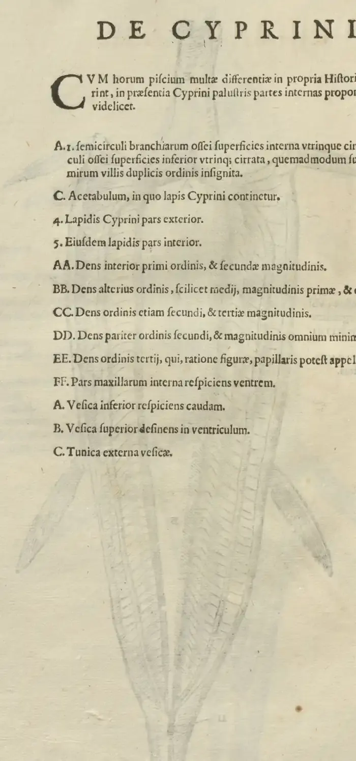 Illustration from page 92