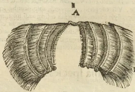 Illustration from page 93