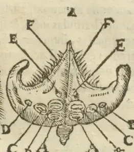 Illustration from page 93