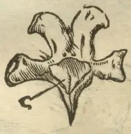 Illustration from page 93