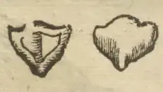 Illustration from page 93