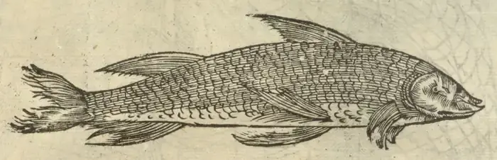 Illustration from page 95