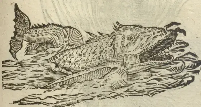 Illustration from page 97