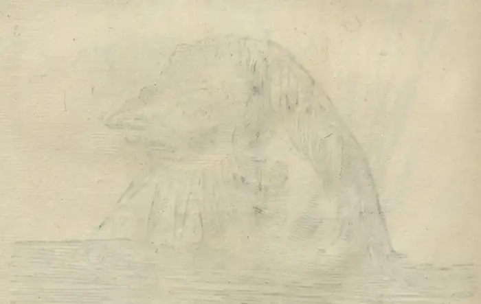 Illustration from page 100