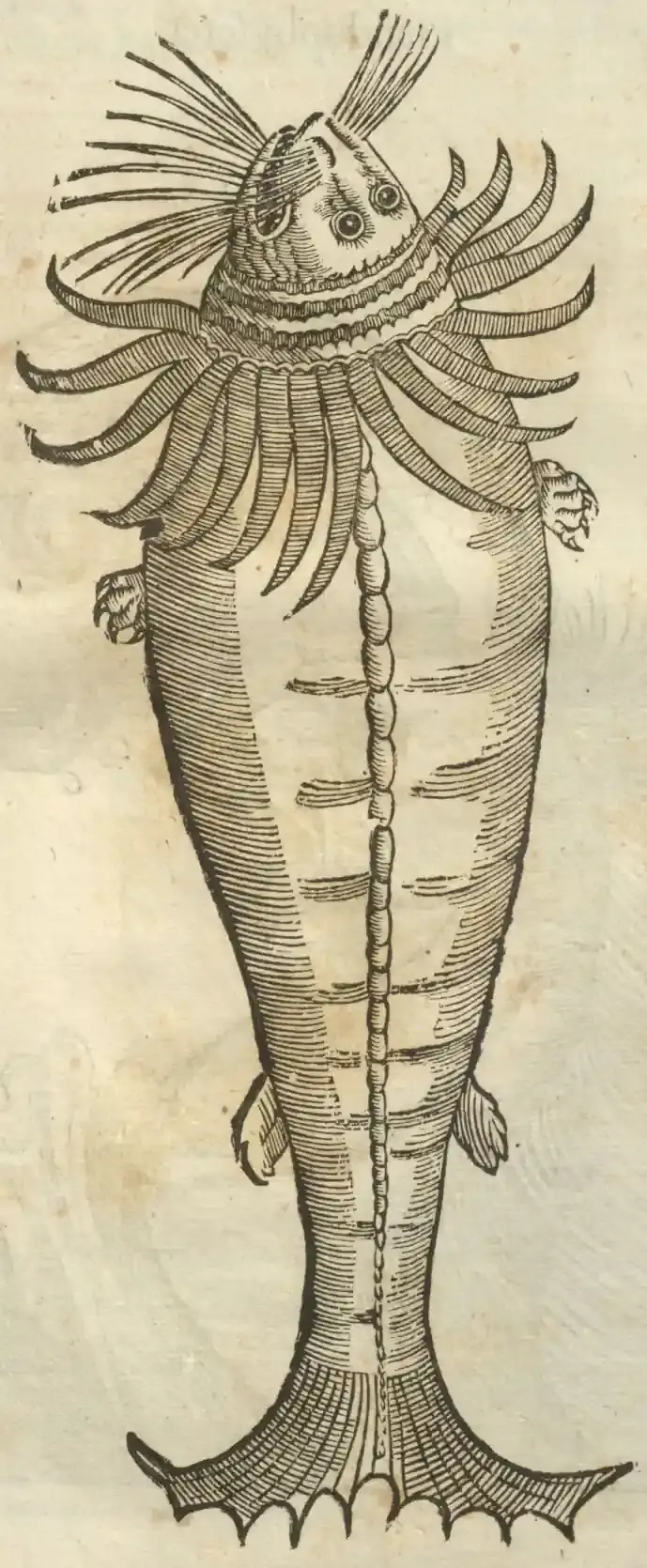 Illustration from page 101