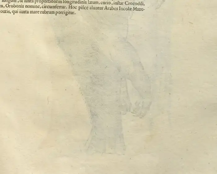 Illustration from page 105