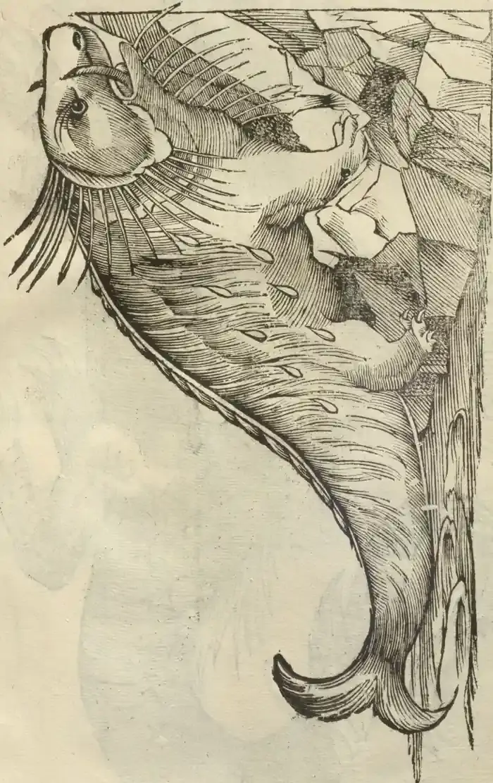 Illustration from page 107