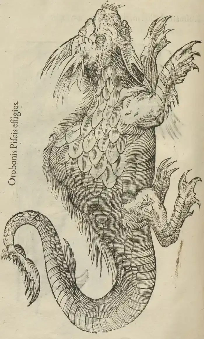 Illustration from page 108