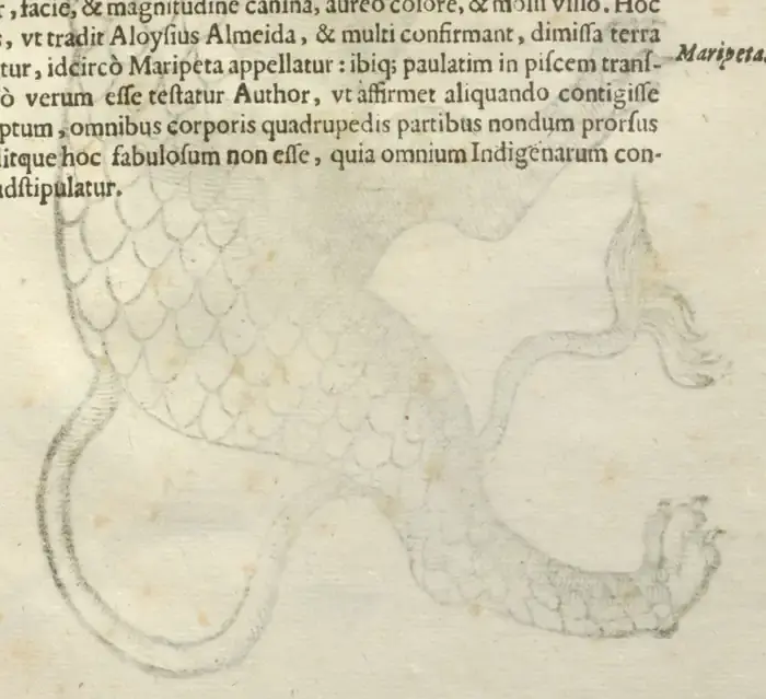 Illustration from page 111