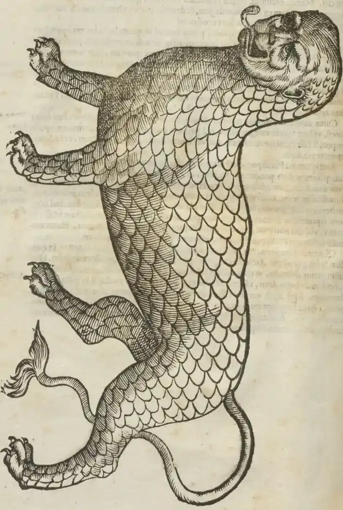 Illustration from page 332