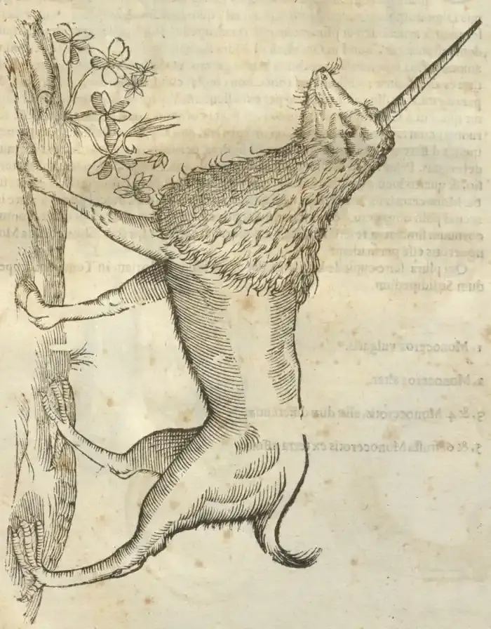 Illustration from page 113