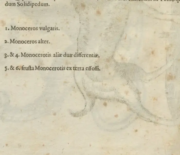 Illustration from page 114