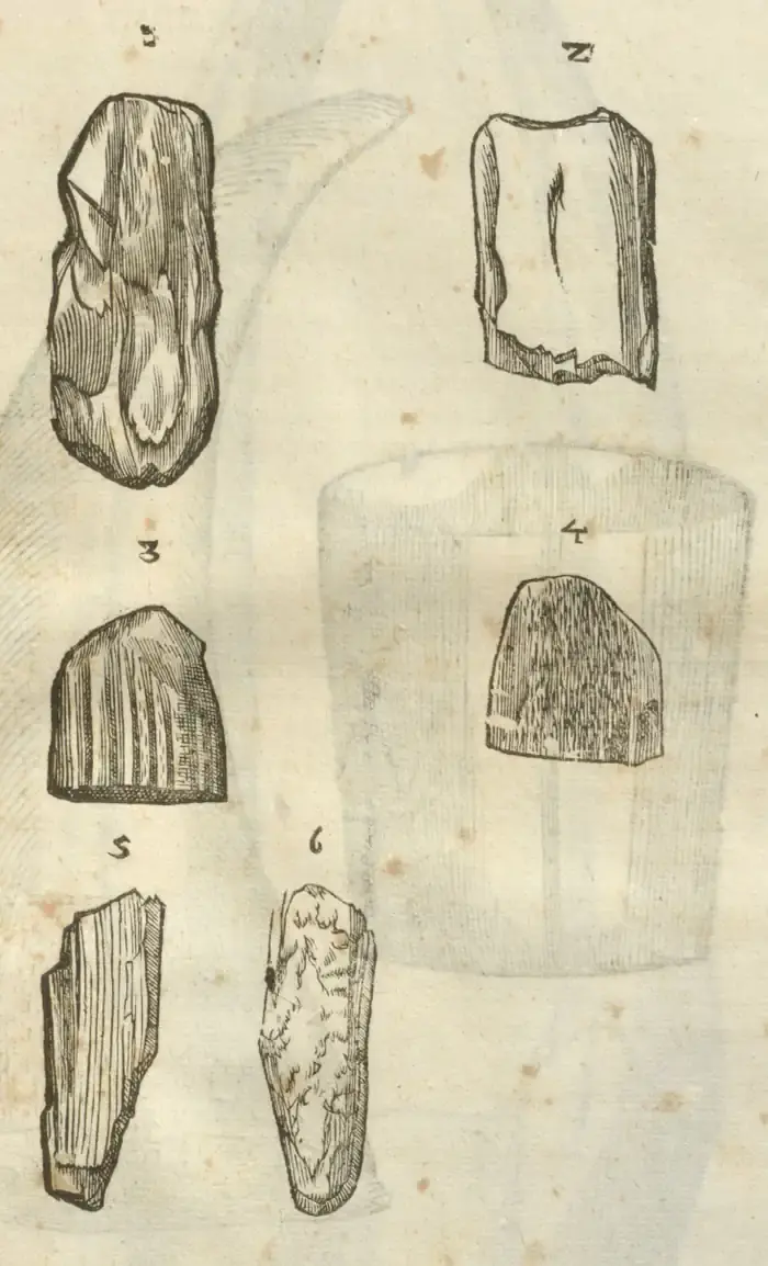 Illustration from page 115