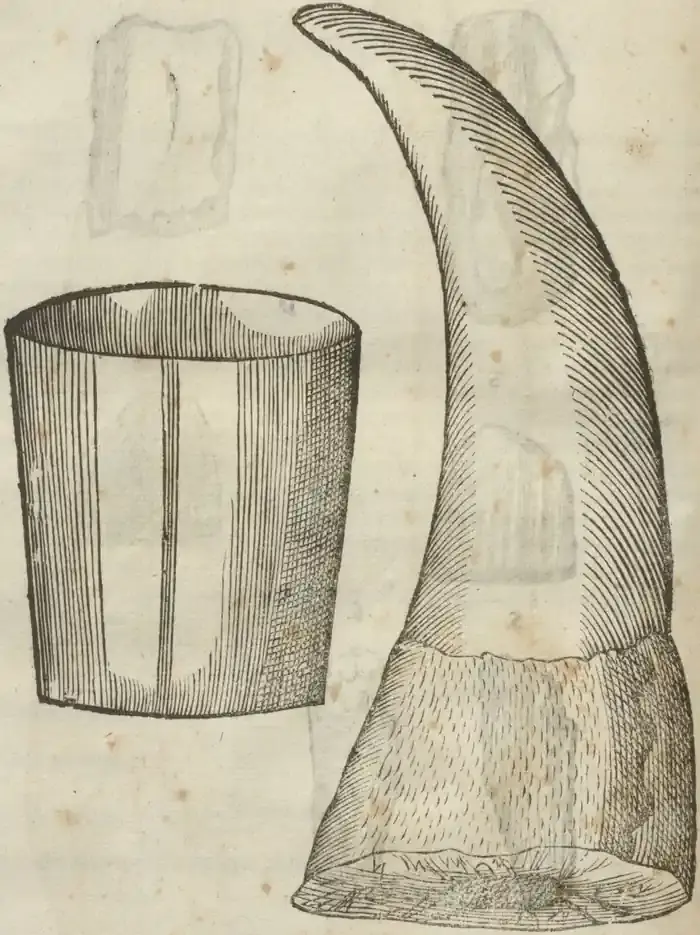 Illustration from page 116