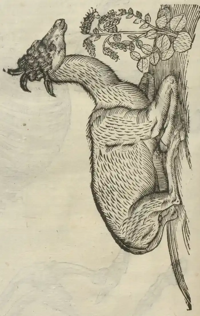 Illustration from page 122