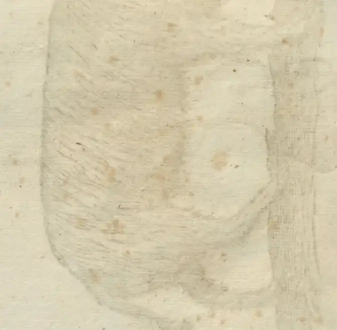 Illustration from page 124