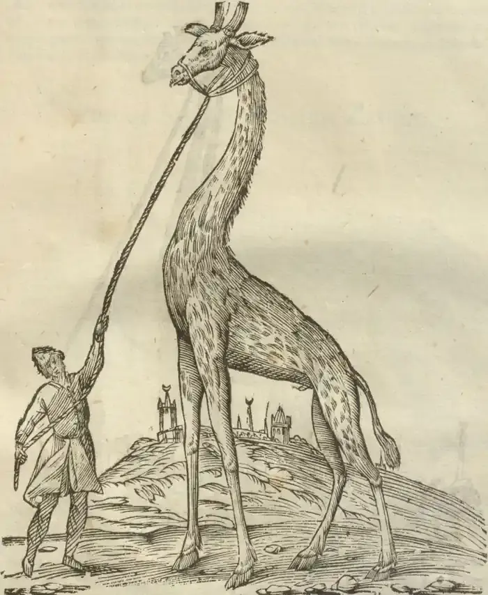 Illustration from page 133