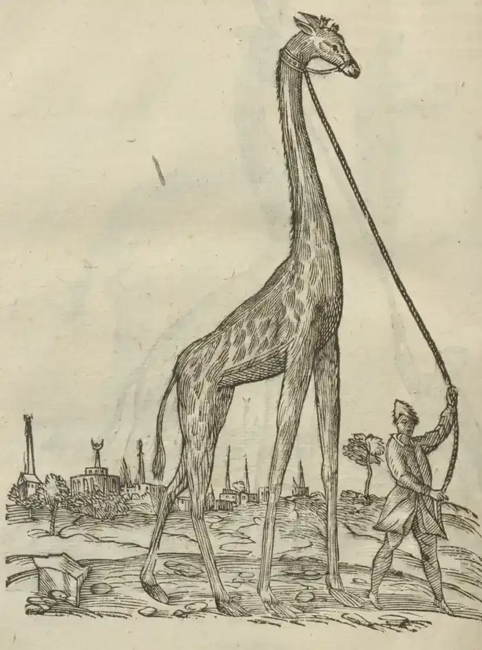 Illustration from page 134