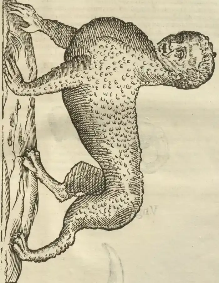 Illustration from page 139