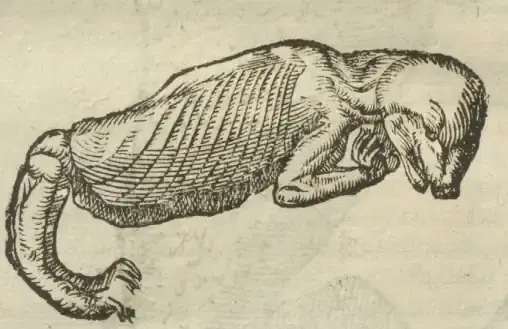 Illustration from page 140