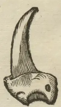 Illustration from page 140