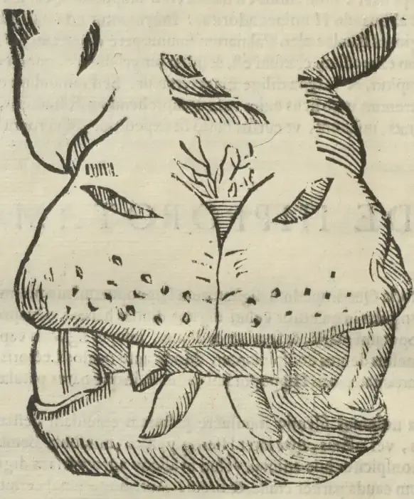 Illustration from page 142