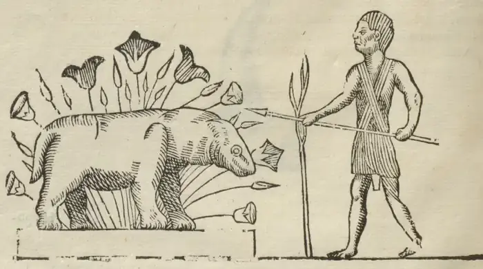 Illustration from page 142