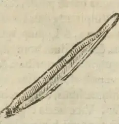 Illustration from page 144