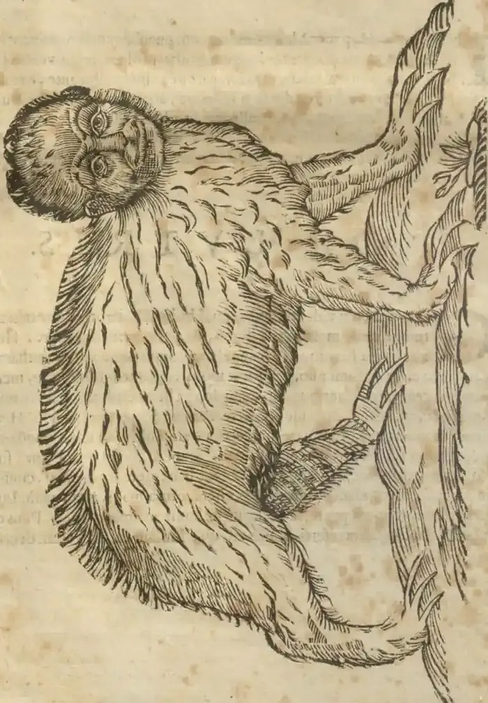 Illustration from page 145