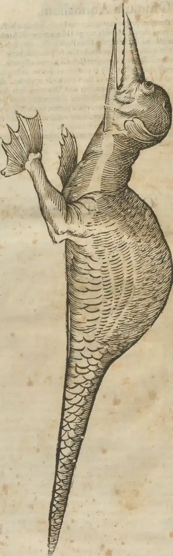 Illustration from page 156