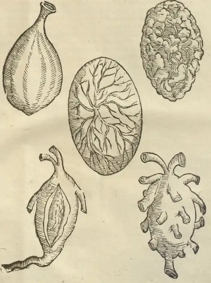 Illustration from page 159