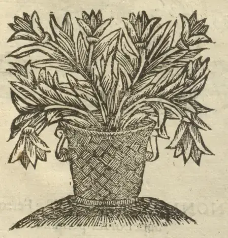 Illustration from page 748