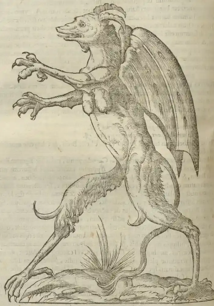 Illustration from page 364