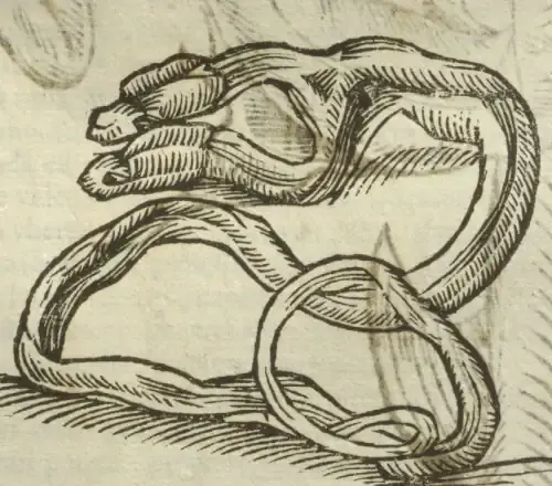 Illustration from page 427