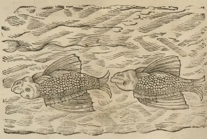 Illustration from page 54